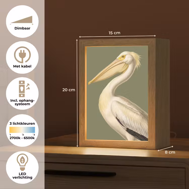 Pelikaan - Wit - Vogel - Klassiek - Natuur Light Box met kabel (Kinderlampje) klein -USP_NL
