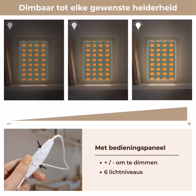 Pompoen - Patroon - Oranje Light Box met kabel (Kinderlampje) klein 904 -USP_dimbaarNL