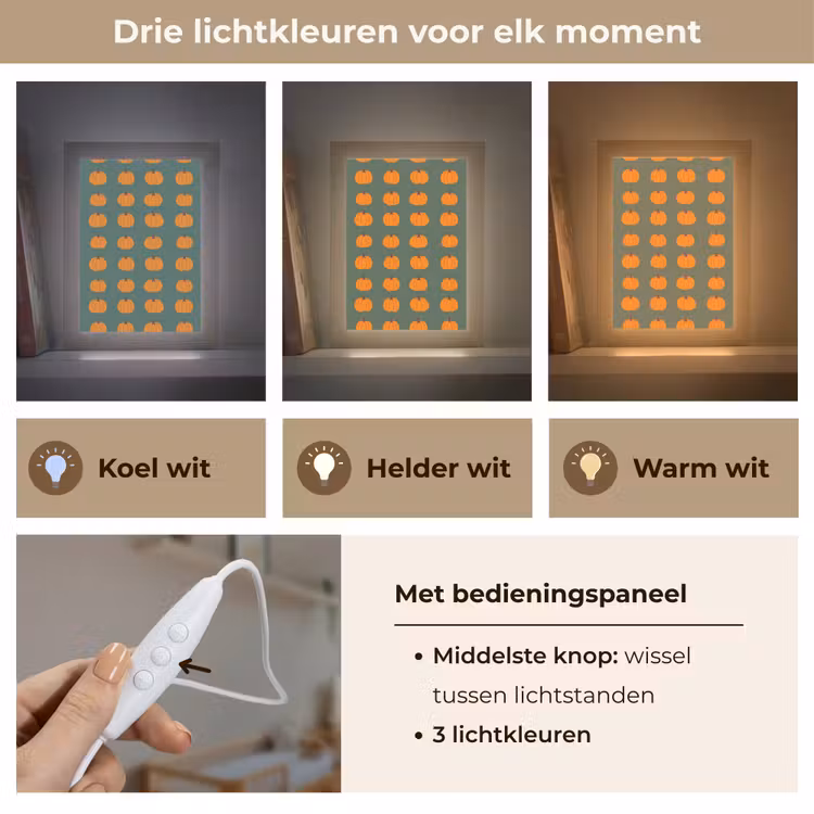 Pompoen - Patroon - Oranje Light Box met kabel (Kinderlampje) klein 904 -USP_lichtkleurNL