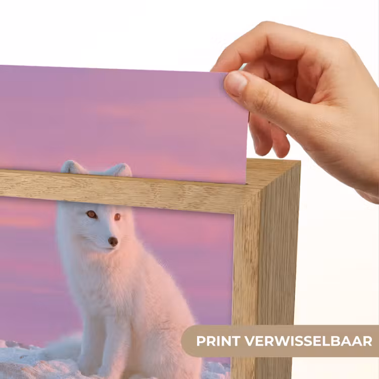 Poolvos - Sneeuw - Roze Light Box met kabel (Kinderlampje) klein -USP_websiteprintNL