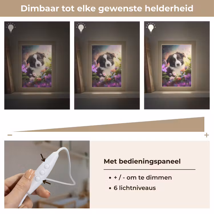 Puppy - Zon - Bloemen - Natuur - Bordercollie - Hond Light Box met kabel klein -USP_dimbaarNL