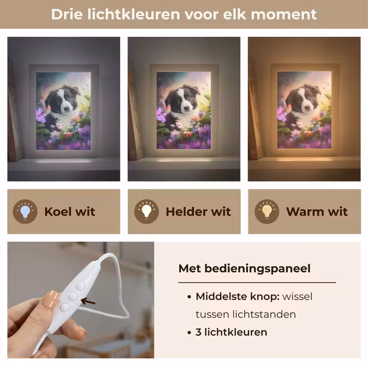 Puppy - Zon - Bloemen - Natuur - Bordercollie - Hond Light Box met kabel klein -USP_lichtkleurNL