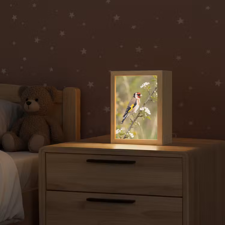 Putter - Bloesem - Lente - Natuur - Kleurrijk Light Box met kabel (Kinderlampje) klein -sfeer1_kind