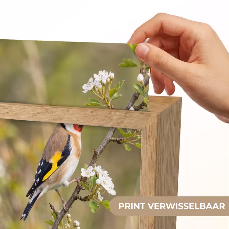 Putter - Bloesem - Lente - Natuur - Kleurrijk Light Box met kabel (Kinderlampje) klein -USP_websiteprintNL