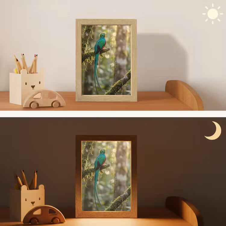 Quetzal - Jungle - Natuur - Groen Light Box met kabel (Kinderlampje) klein -sfeer3_kind
