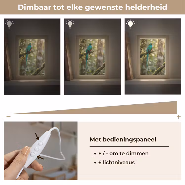 Quetzal - Jungle - Natuur - Groen Light Box met kabel (Kinderlampje) klein -USP_dimbaarNL