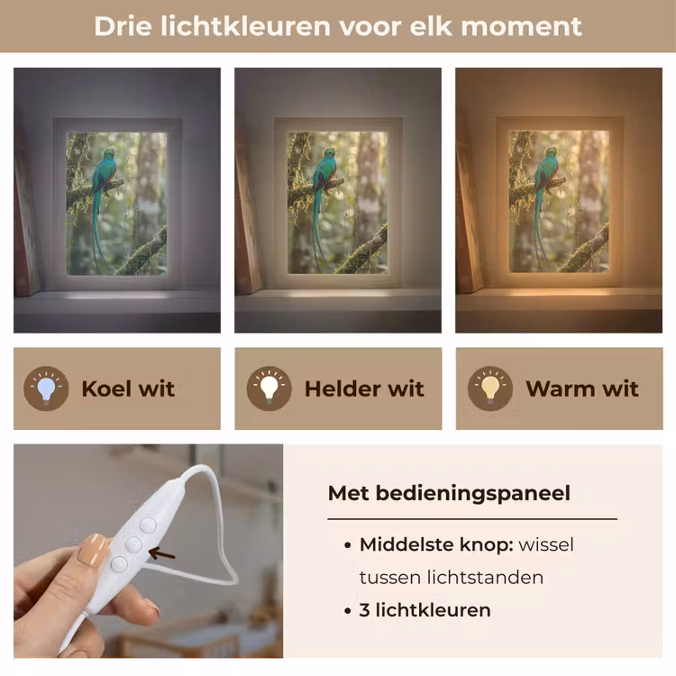 Quetzal - Jungle - Natuur - Groen Light Box met kabel (Kinderlampje) klein -USP_lichtkleurNL