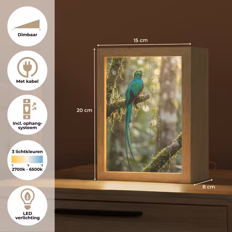 Quetzal - Jungle - Natuur - Groen Light Box met kabel (Kinderlampje) klein -USP_NL