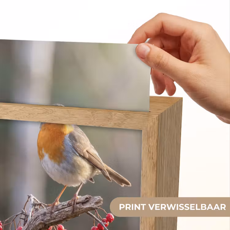 Roodborst - Tak - Bessen - Natuur Light Box met kabel (Kinderlampje) klein -USP_websiteprintNL
