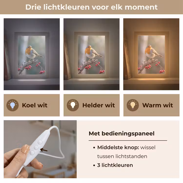 Roodborst - Tak - Bessen - Natuur Light Box met kabel (Kinderlampje) klein -USP_lichtkleurNL