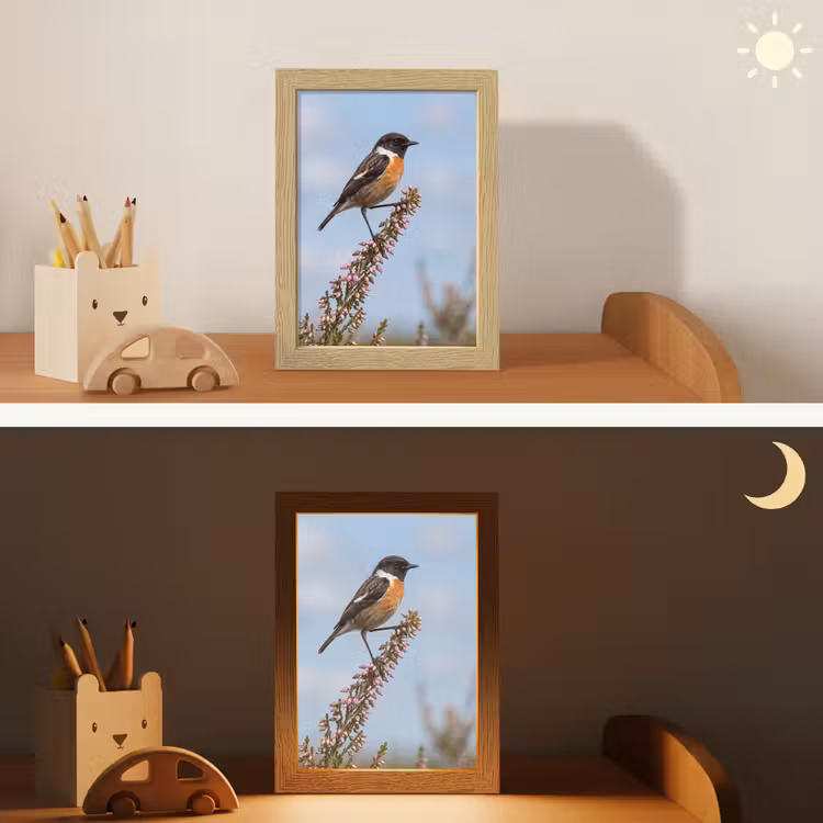 Roodborsttapuit - Heide - Paars - Natuur - Sfeervol Light Box met kabel (Kinderlampje) klein -sfeer3_kind