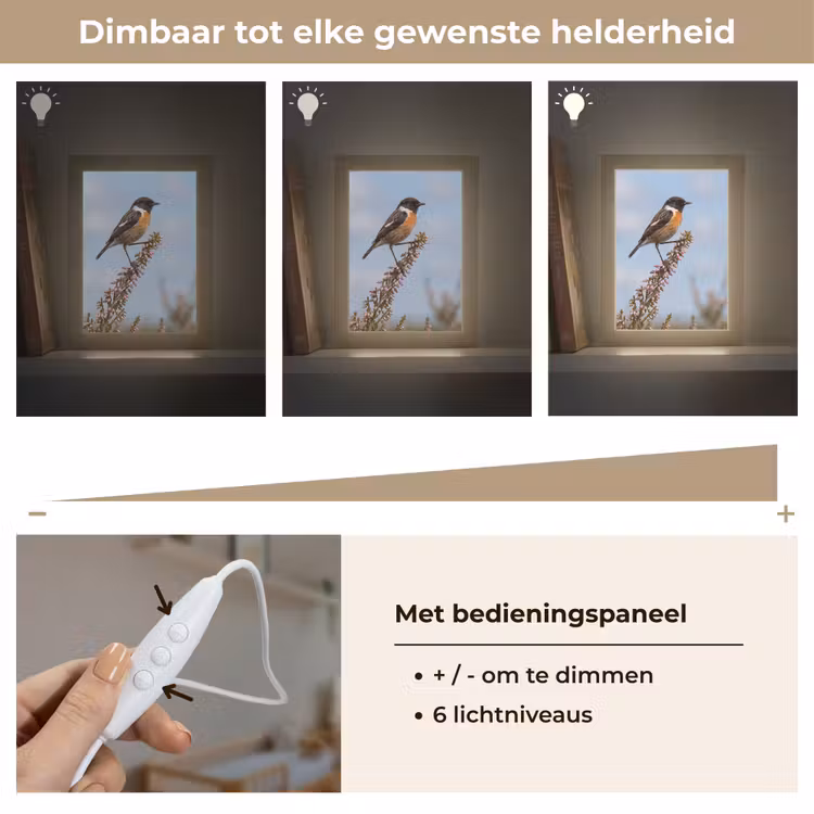 Roodborsttapuit - Heide - Paars - Natuur - Sfeervol Light Box met kabel (Kinderlampje) klein -USP_dimbaarNL