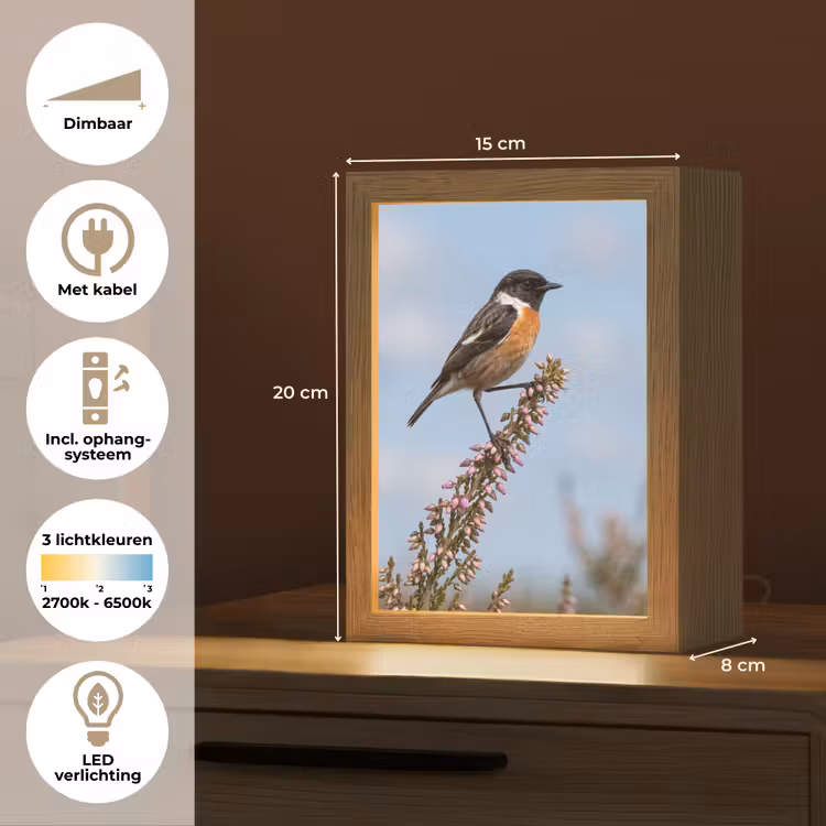 Roodborsttapuit - Heide - Paars - Natuur - Sfeervol Light Box met kabel (Kinderlampje) klein -USP_NL