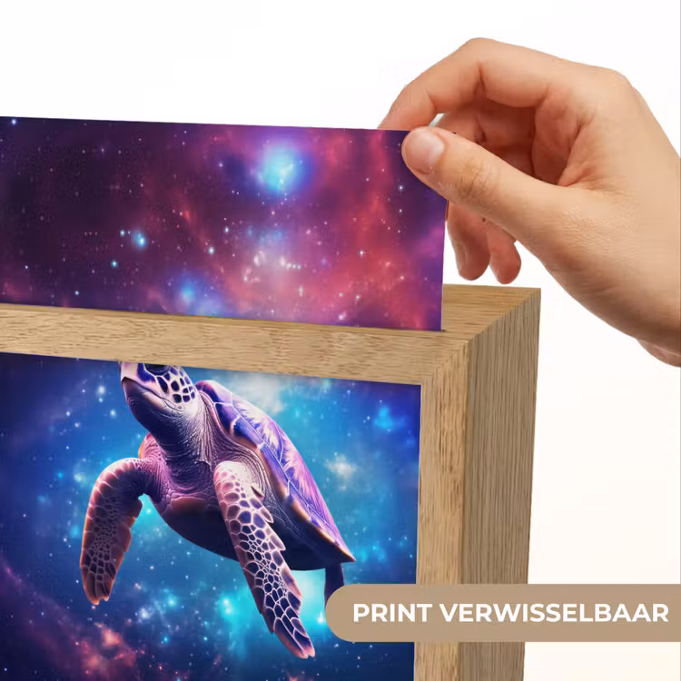 Schildpad - Dier - Galaxy - Ruimte Light Box met kabel (Kinderlampje) klein -USP_websiteprintNL