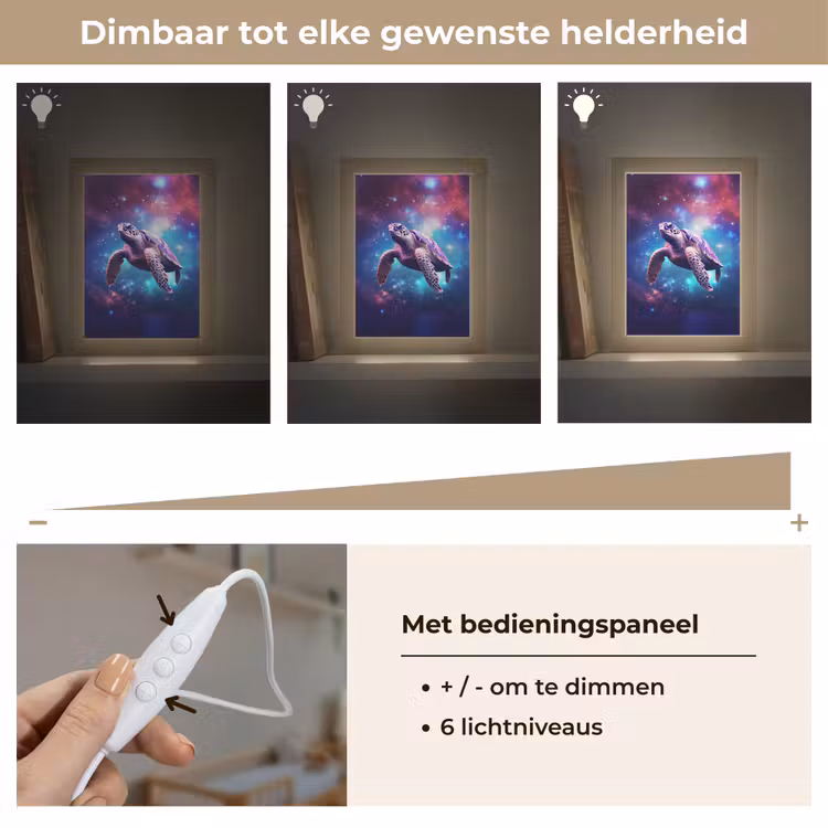Schildpad - Dier - Galaxy - Ruimte Light Box met kabel klein -USP_dimbaarNL