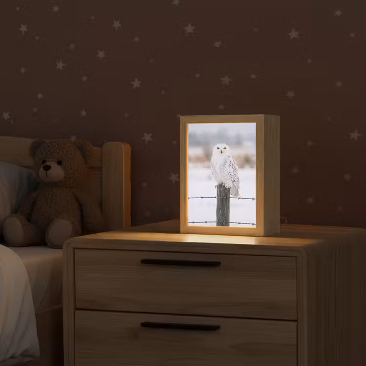 Sneeuwuil - Hek - Sneeuw - Wit Light Box met kabel (Kinderlampje) klein -sfeer1_kind