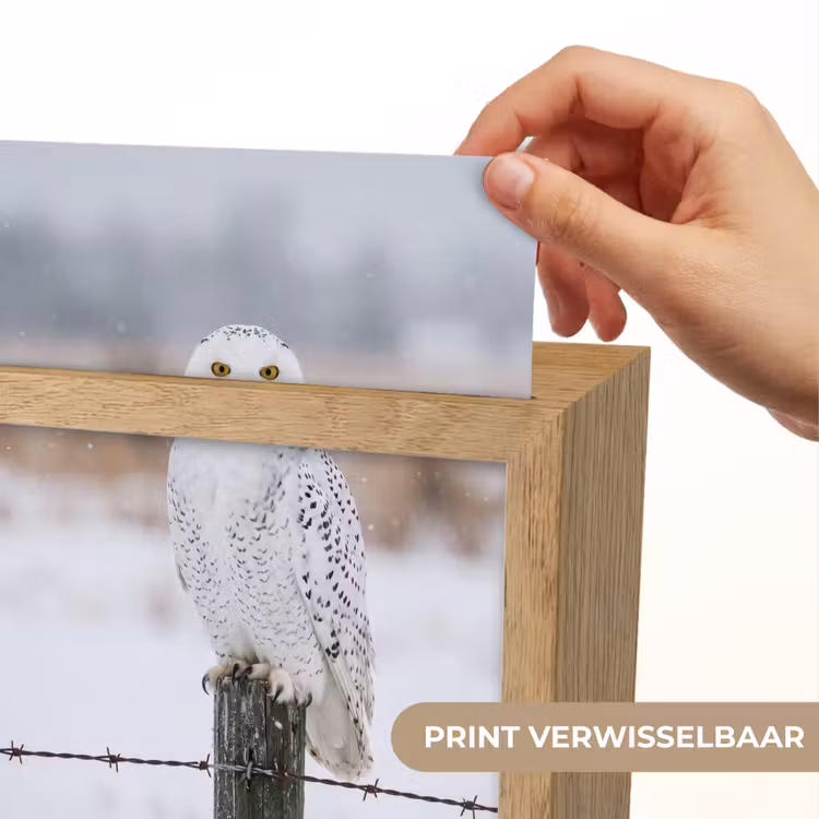 Sneeuwuil - Hek - Sneeuw - Wit Light Box met kabel (Kinderlampje) klein -USP_websiteprintNL