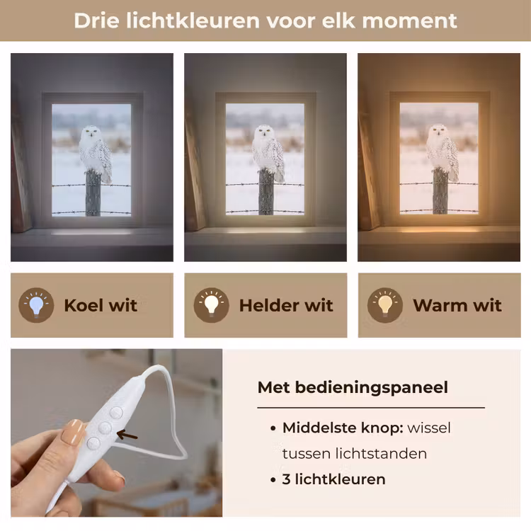 Sneeuwuil - Hek - Sneeuw - Wit Light Box met kabel (Kinderlampje) klein -USP_lichtkleurNL