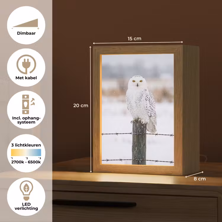 Sneeuwuil - Hek - Sneeuw - Wit Light Box met kabel (Kinderlampje) klein -USP_NL