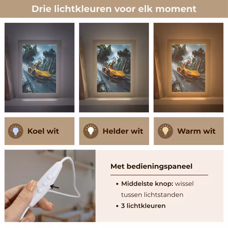 T-Rex - Auto - Regenwoud Light Box met kabel klein -USP_lichtkleurNL