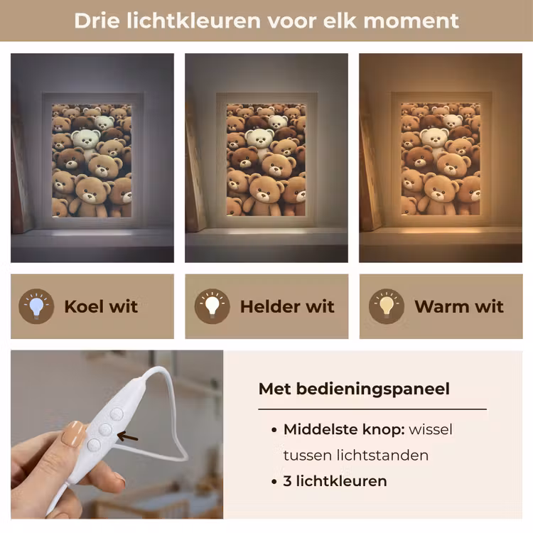 Teddybeer - Knuffel - Bruin - Beer - Jongens - Meisjes Light Box met kabel klein -USP_lichtkleurNL