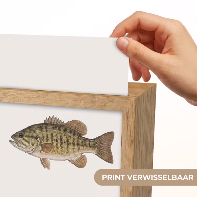 Vissen - Natuur - Vintage Light Box met kabel (Kinderlampje) klein -USP_websiteprintNL