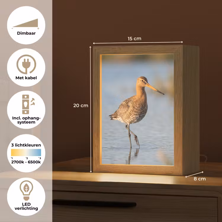 Vogel - Steltloper - Water - Natuur Light Box met kabel (Kinderlampje) klein -USP_NL