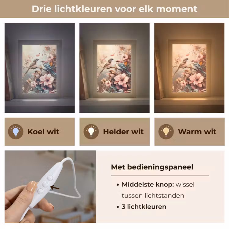 Vogels - Bloemen - Roze - Pastel Light Box met kabel klein -USP_lichtkleurNL