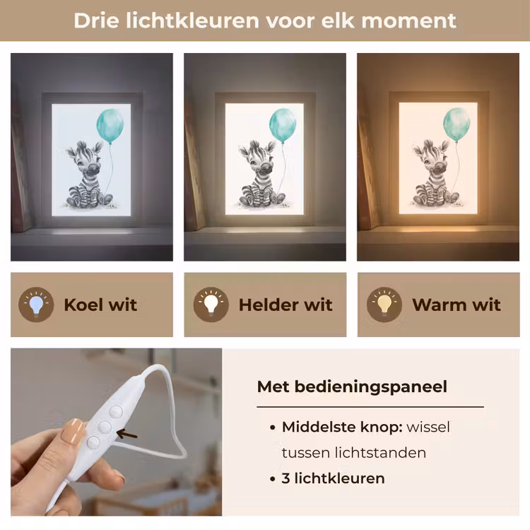 Zebra - Baby dier - Blauwe ballon Light Box met kabel klein -USP_lichtkleurNL