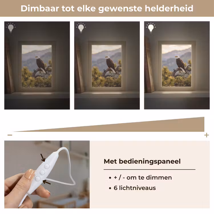 Zeearend - Boom - Bergen - Groen Light Box met kabel (Kinderlampje) klein -USP_dimbaarNL