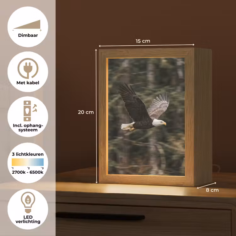 Zeearend - Vliegen - Bos - Natuur Light Box met kabel (Kinderlampje) klein -USP_NL