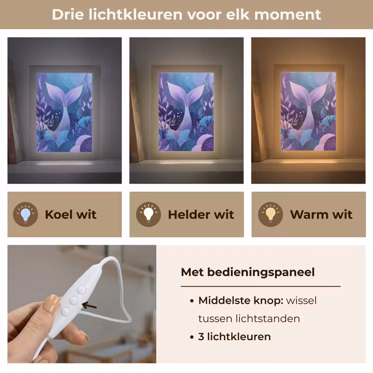 Zeemeerminnenstaart - Onderwaterplanten - Paars - Blauw Light Box met kabel klein -USP_lichtkleurNL