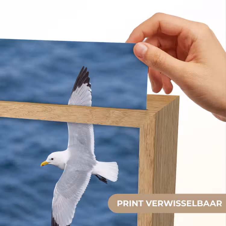 Zeemeeuw - Oceaan - Blauw Light Box met kabel (Kinderlampje) klein -USP_websiteprintNL