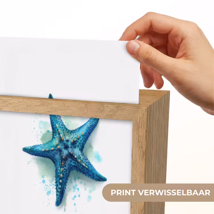 Zeester - Blauw - Spetters Light Box met kabel (Kinderlampje) klein -USP_websiteprintNL