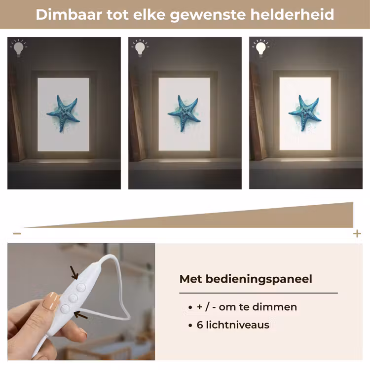 Zeester - Blauw - Spetters Light Box met kabel klein -USP_dimbaarNL