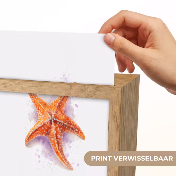 Zeester - Oranje - Paars Light Box met kabel (Kinderlampje) klein -USP_websiteprintNL