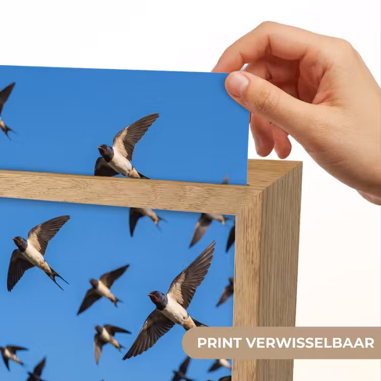 Zwaluwen - Vliegen - Blauw Light Box met kabel (Kinderlampje) klein -USP_websiteprintNL