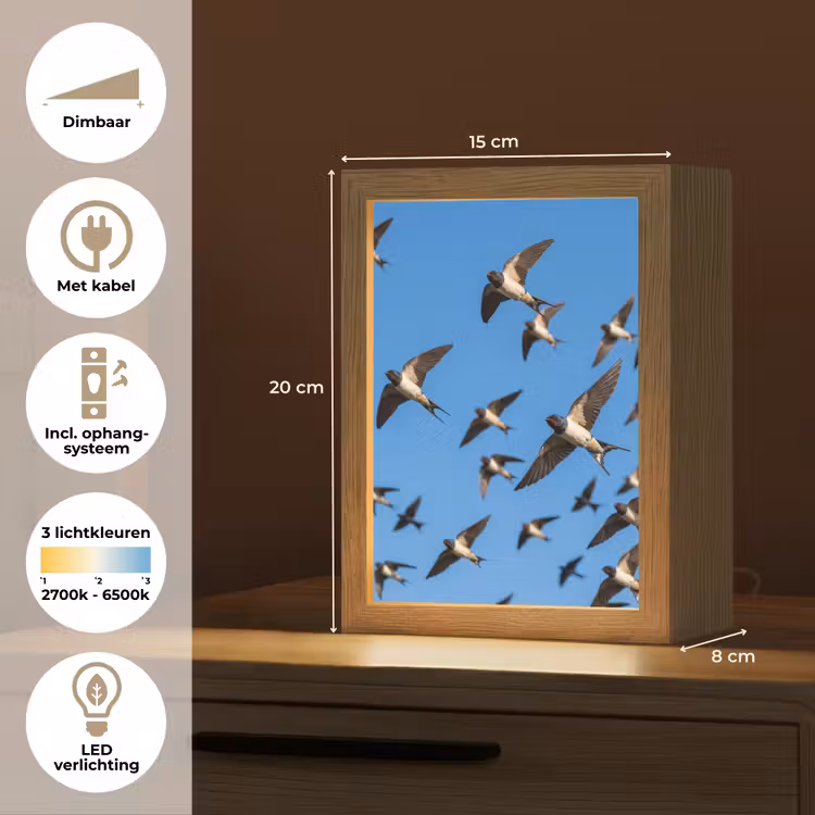 Zwaluwen - Vliegen - Blauw Light Box met kabel (Kinderlampje) klein -USP_NL