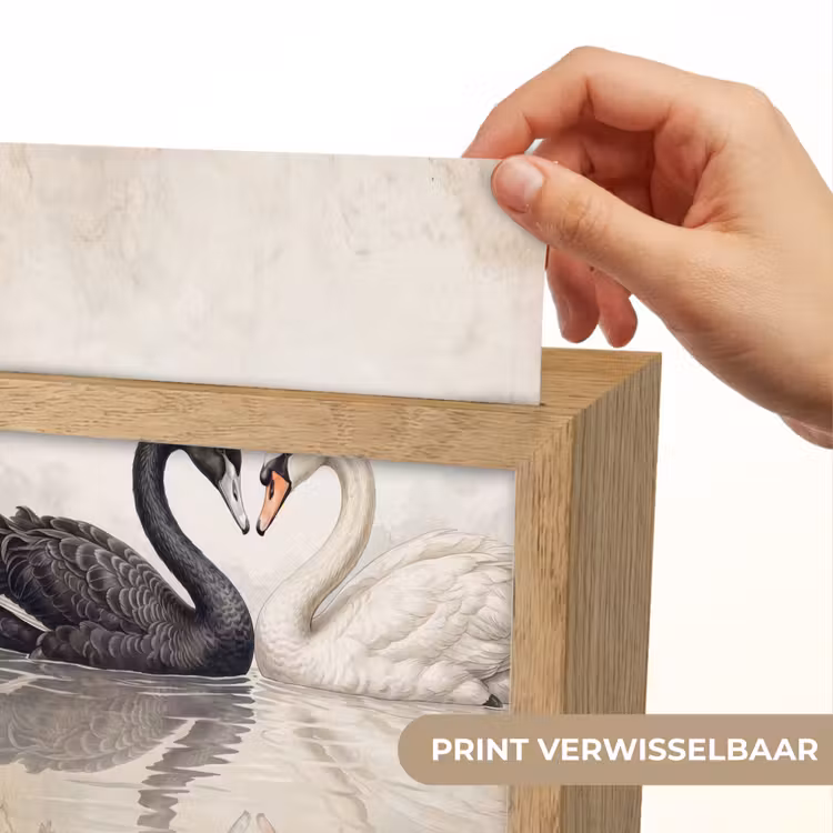 Zwanen - Hartvorm - Dieren Light Box met kabel (Kinderlampje) klein -USP_websiteprintNL