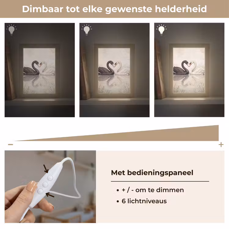 Zwanen - Hartvorm - Dieren Light Box met kabel (Kinderlampje) klein -USP_dimbaarNL
