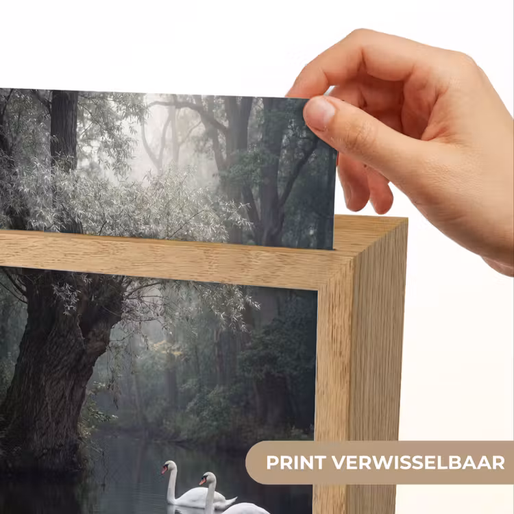 Zwanen - Rivier - Bos Light Box met kabel (Kinderlampje) klein -USP_websiteprintNL