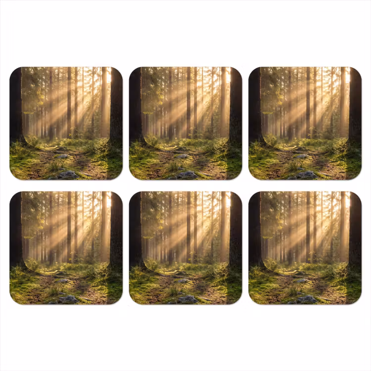 Bos - Zonlicht - Gras onderzetter kurk middel -3d