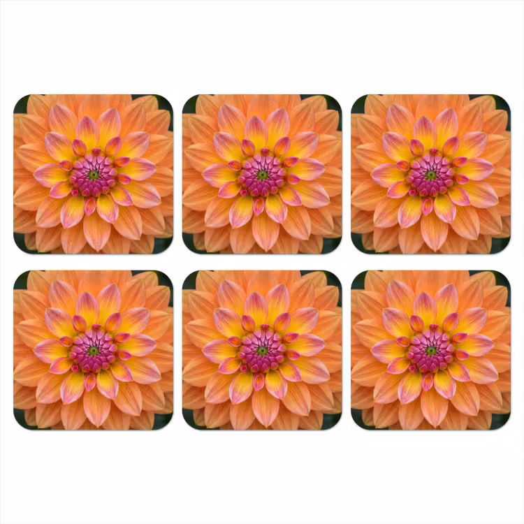Dahlia - Bloem - Oranje onderzetter kurk middel -3d