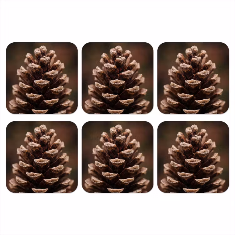 Dennenappel - Bos - Herfst - Bruin - Sfeervol onderzetter kurk middel -3d