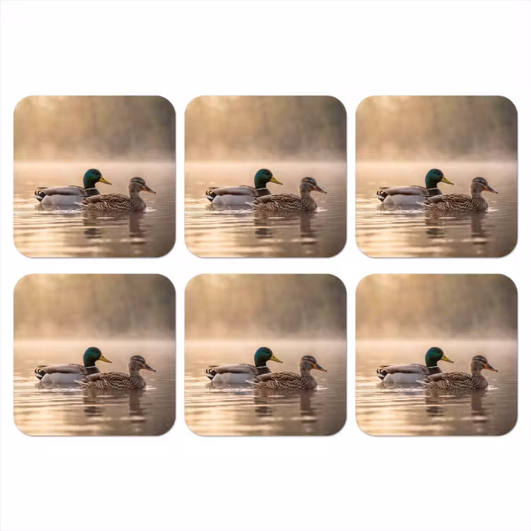 Eenden - Water - Mist - Natuur onderzetter kurk middel -3d