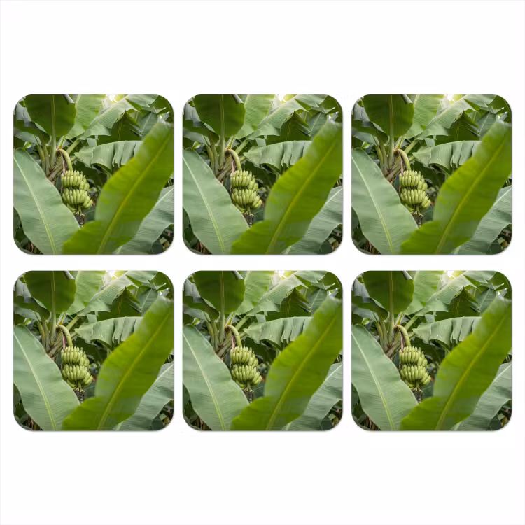 Eten - Bananen - Plantage - Groen onderzetter kurk middel -3d