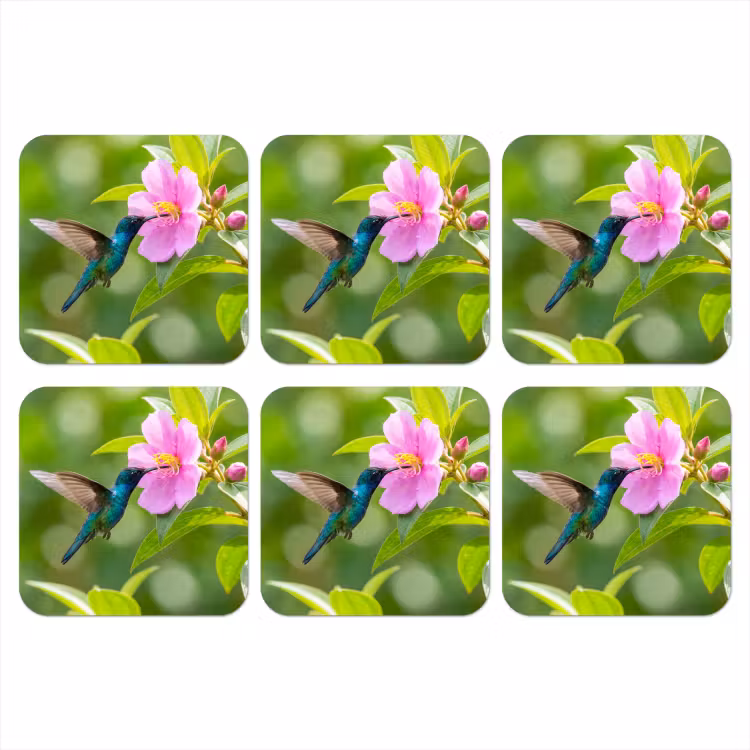 Kolibrie - Bloem - Natuur - Groen onderzetter kurk middel -3d