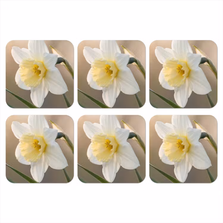 Narcis - Bloem - Minimalistisch onderzetter kurk middel -3d