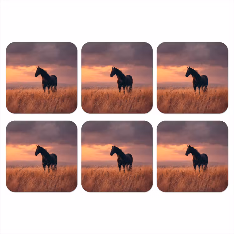 Paard - Wolken - Open veld onderzetter kurk middel -3d