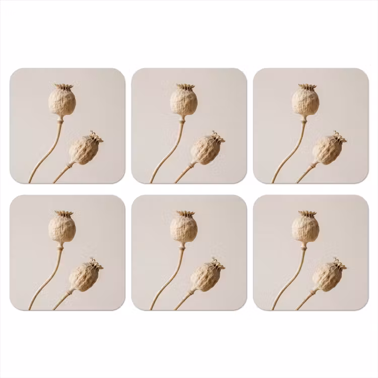 Papaverbollen - Droogbloemen - Minimalistisch - Beige - Rustig onderzetter kurk middel -3d